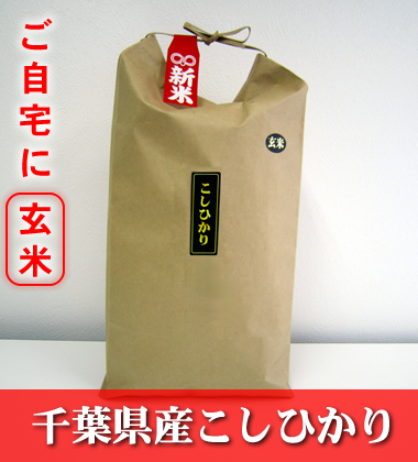 千葉県産こしひかり玄米 千葉県産こしひかり玄米