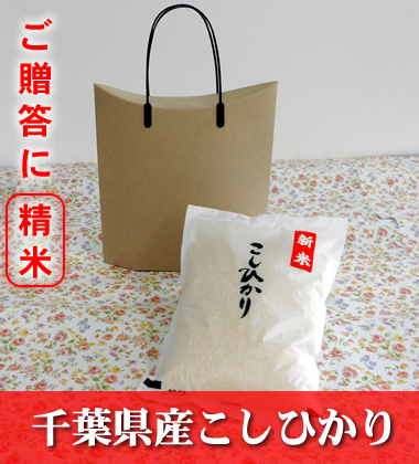 千葉県産こしひかり 贈答用精米 2kg 千葉県産こしひかり 贈答用精米 2kg