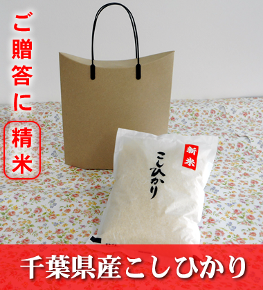 千葉県産こしひかり 贈答用精米 2kg