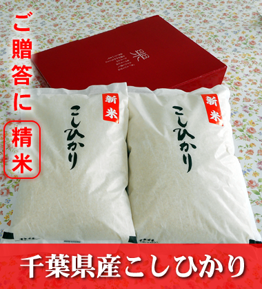 千葉県産こしひかり 贈答用精米 4kg 千葉県産こしひかり 贈答用精米 4kg