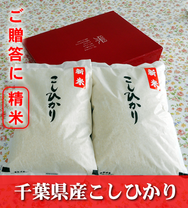 千葉県産こしひかり 贈答用精米 4kg