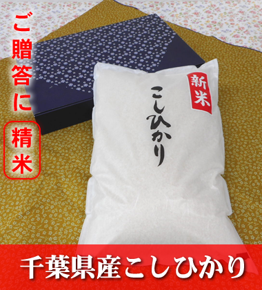 千葉県産こしひかり 贈答用精米 5kg (藍箱) 千葉県産こしひかり 贈答用精米 5kg (藍箱)