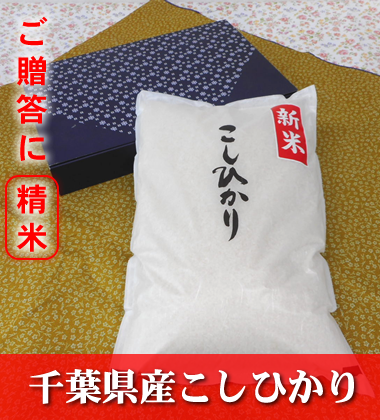 千葉県産こしひかり 贈答用精米 5kg (藍箱)