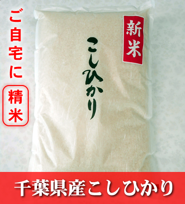 千葉県産こしひかり精米 千葉県産こしひかり精米