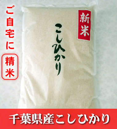 千葉県産こしひかり精米